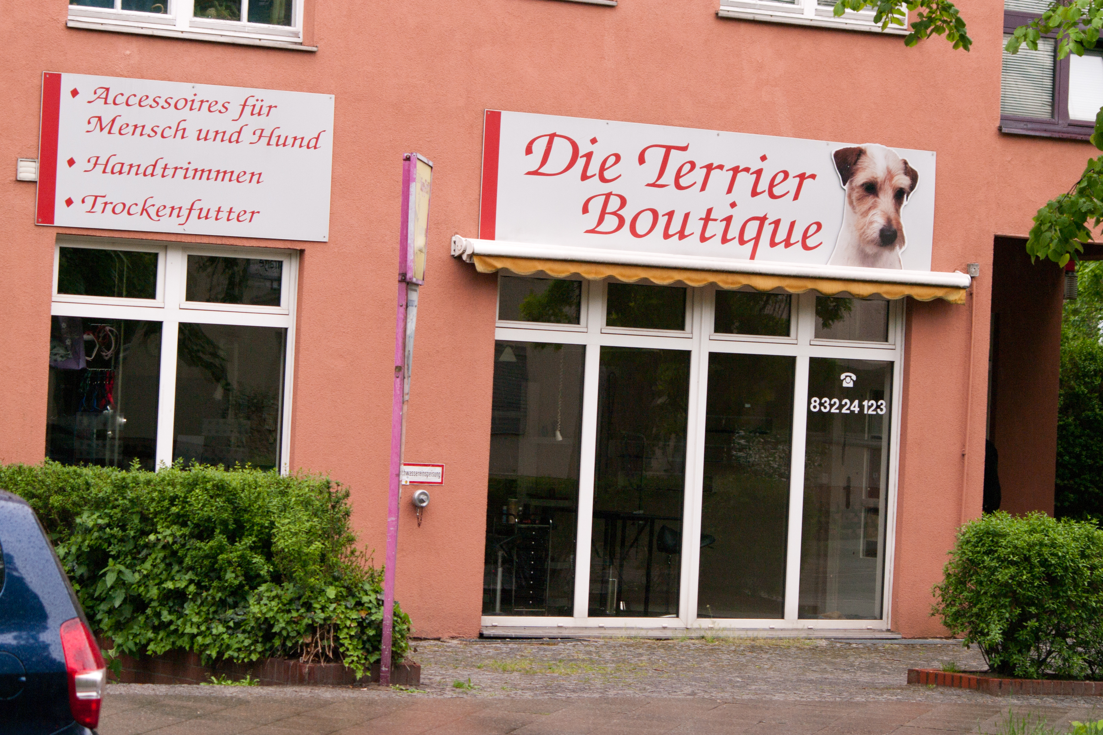 Hund wird im Hundesalon gepflegt